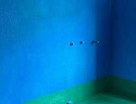 成安卫生间测漏水多少钱